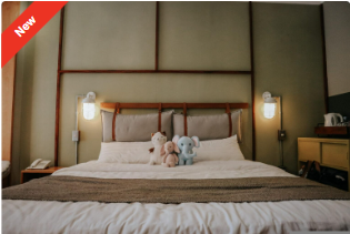 BEST HOTELS IN PRAYAGRAJ